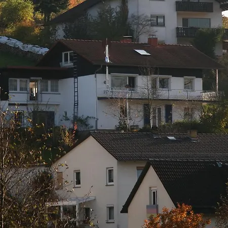 Apartment Ferienwohnung Kornblume Viernheim