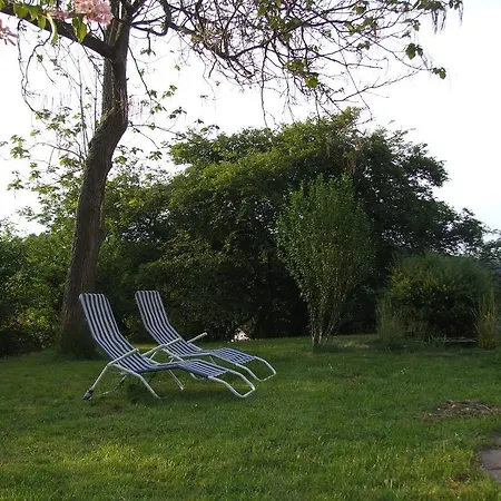 Ferienwohnung Kornblume Viernheim